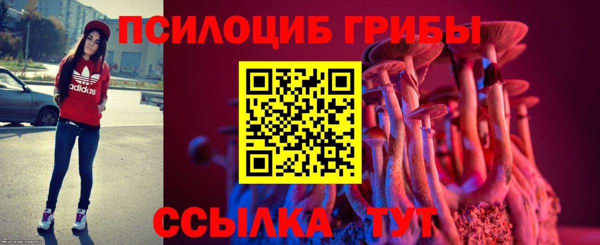 Псилоцибиновые грибы мухоморы  Вход с VPN  что такое наркотик  Гусев 