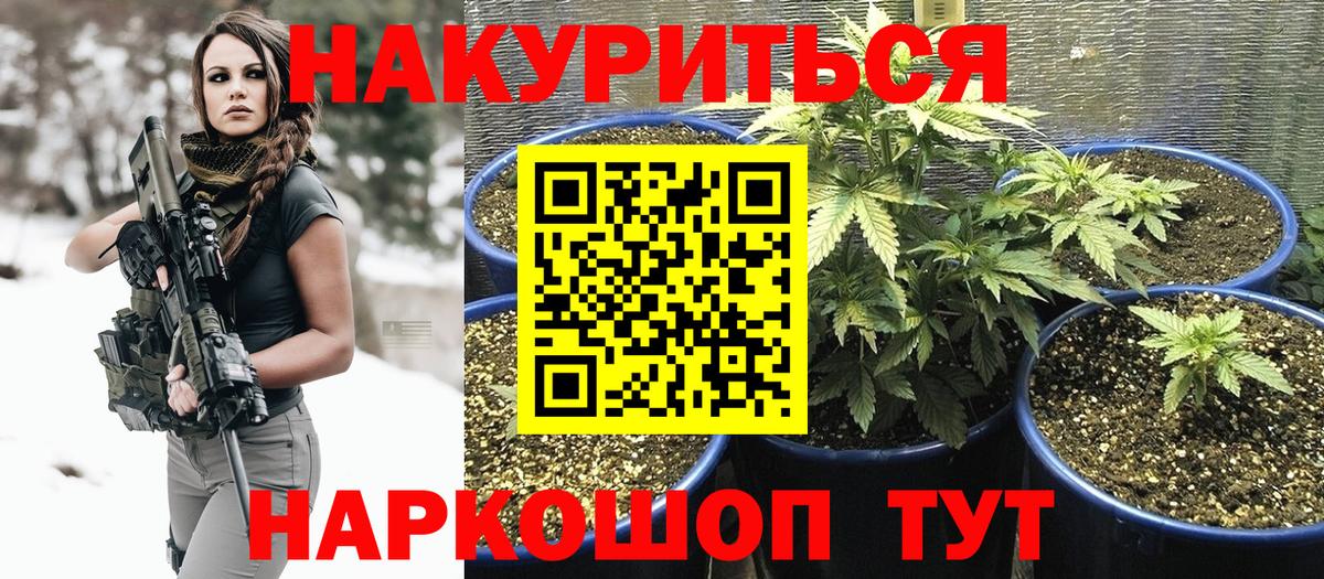 Конопля OG Kush  Вход с VPN  Гусев  Марихуана ГИДРОПОН 
